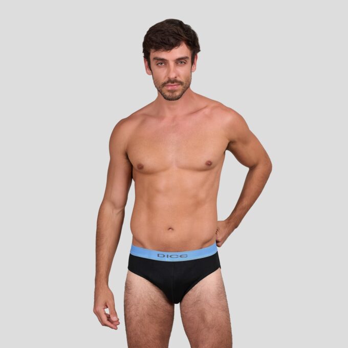 Plain Brief